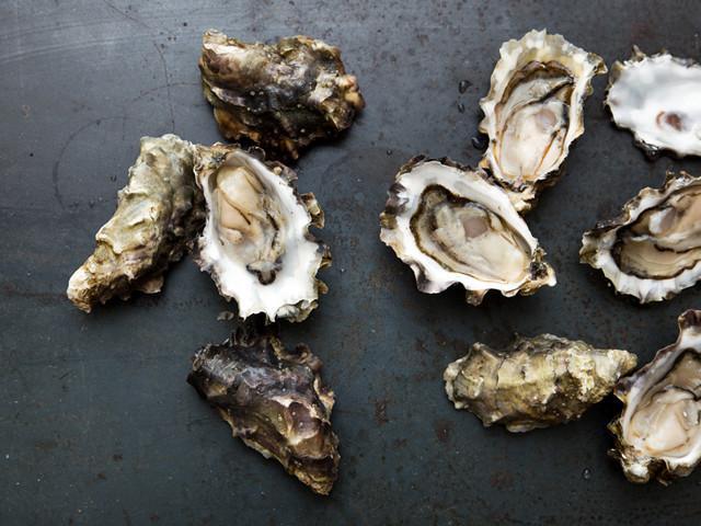 Oysters Hama Hama Oysters 6 D7cfe419 6451 4a85 A270 E251e3f58882 1024x1024