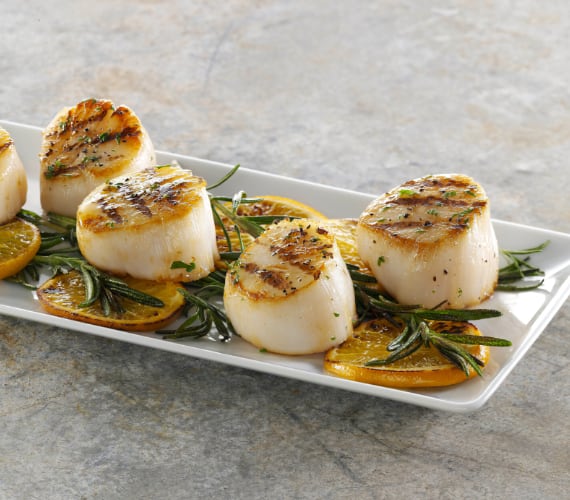 Seafood Scallops